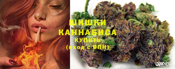 спайс Надым